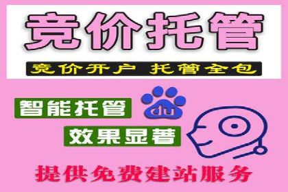 创新SEM推广优化：企业成功案例剖析